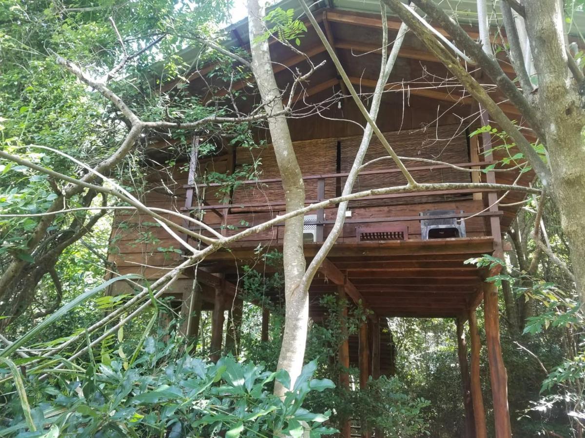 The Inn On The Tree Sigirîya Extérieur photo