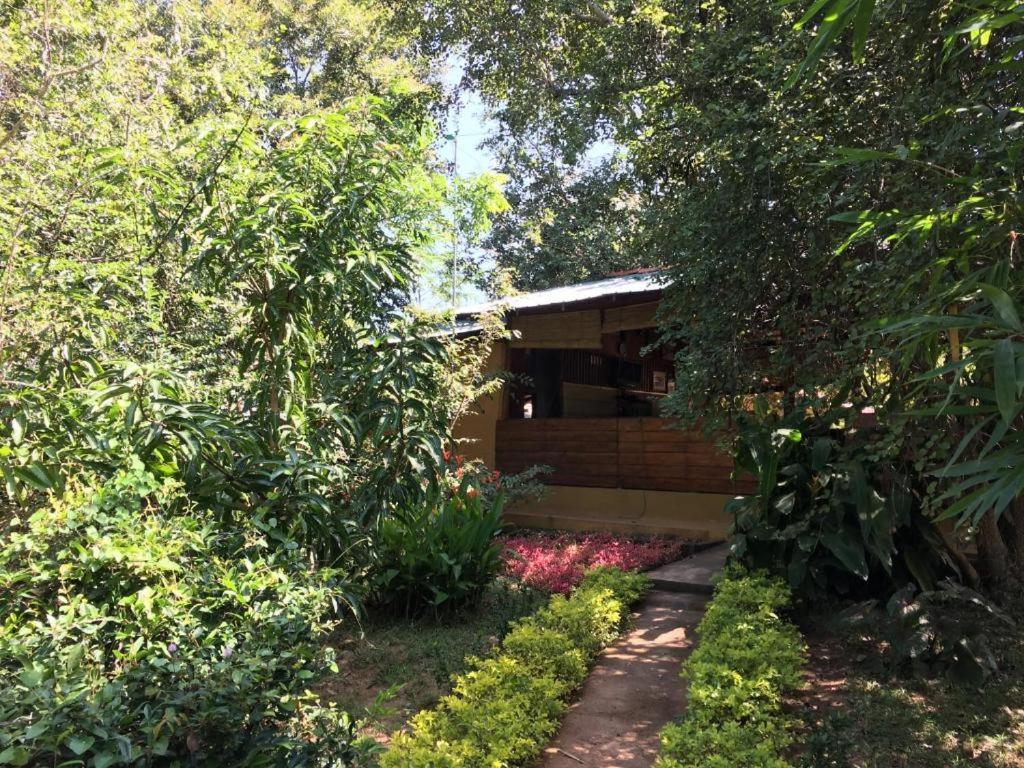 The Inn On The Tree Sigirîya Extérieur photo