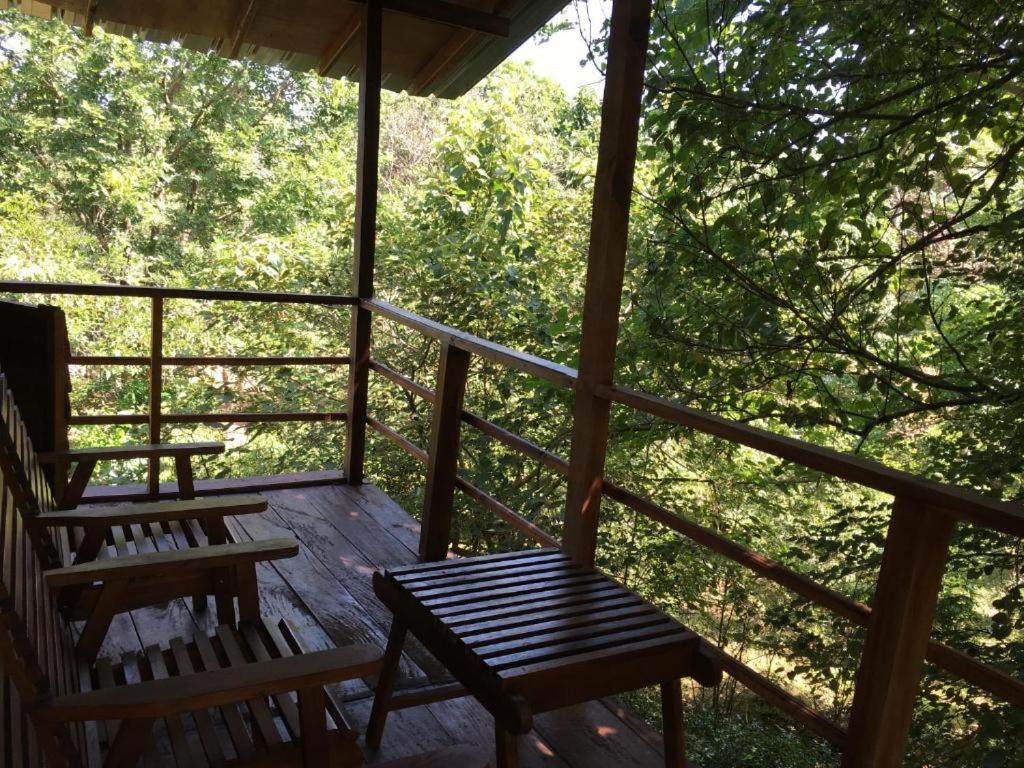 The Inn On The Tree Sigirîya Extérieur photo