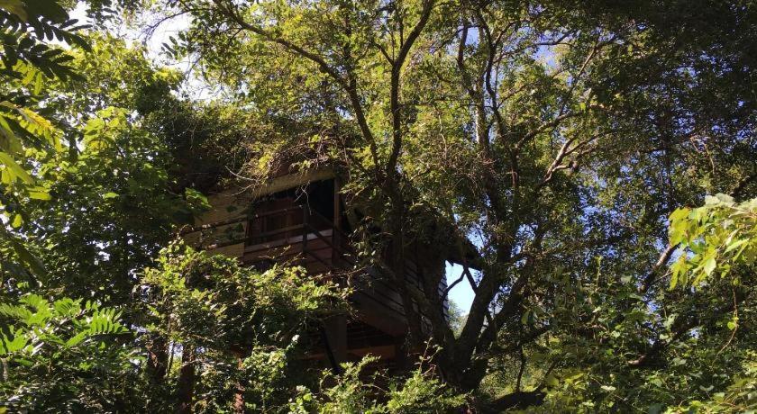The Inn On The Tree Sigirîya Extérieur photo