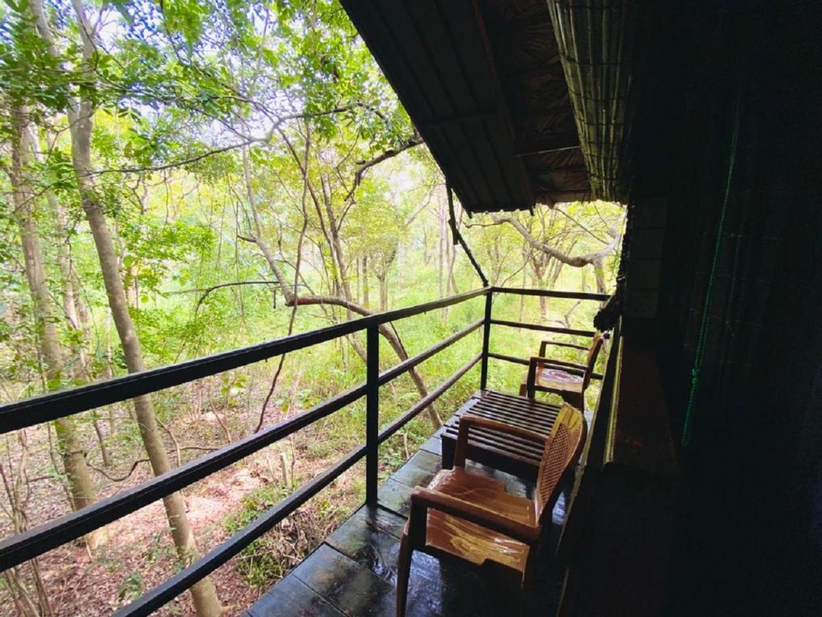 The Inn On The Tree Sigirîya Extérieur photo